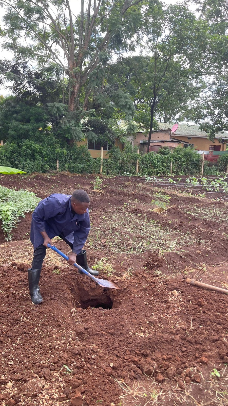 A team member digging a planting hole in a garden bed