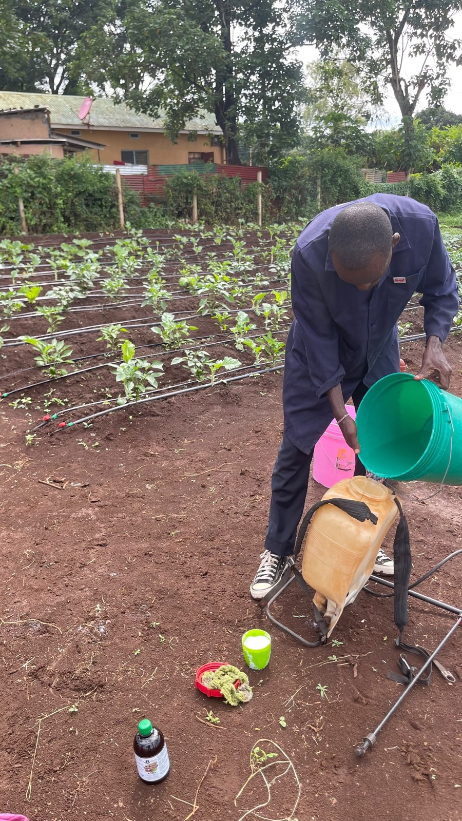 A team member refilling a backpack sprayer beside a garden bed