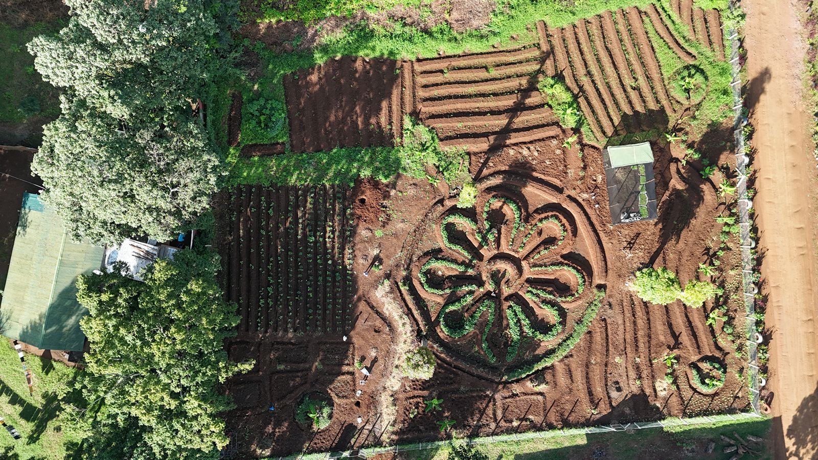 Aerial view of a permaculture demonstration garden with keyhole beds and cultivated rows
