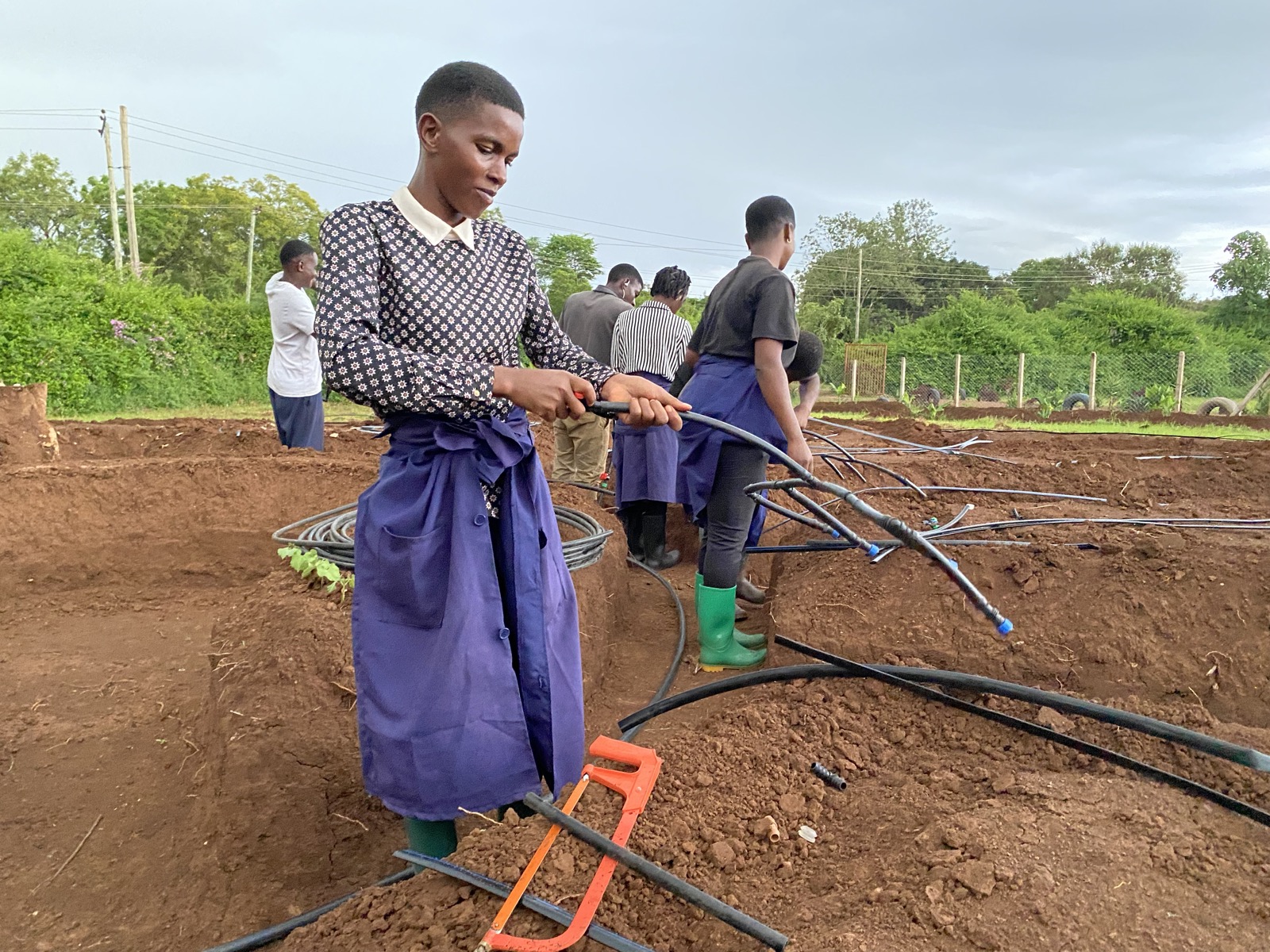 A young team member connecting drip-irrigation lines in a garden bed at Kibo School