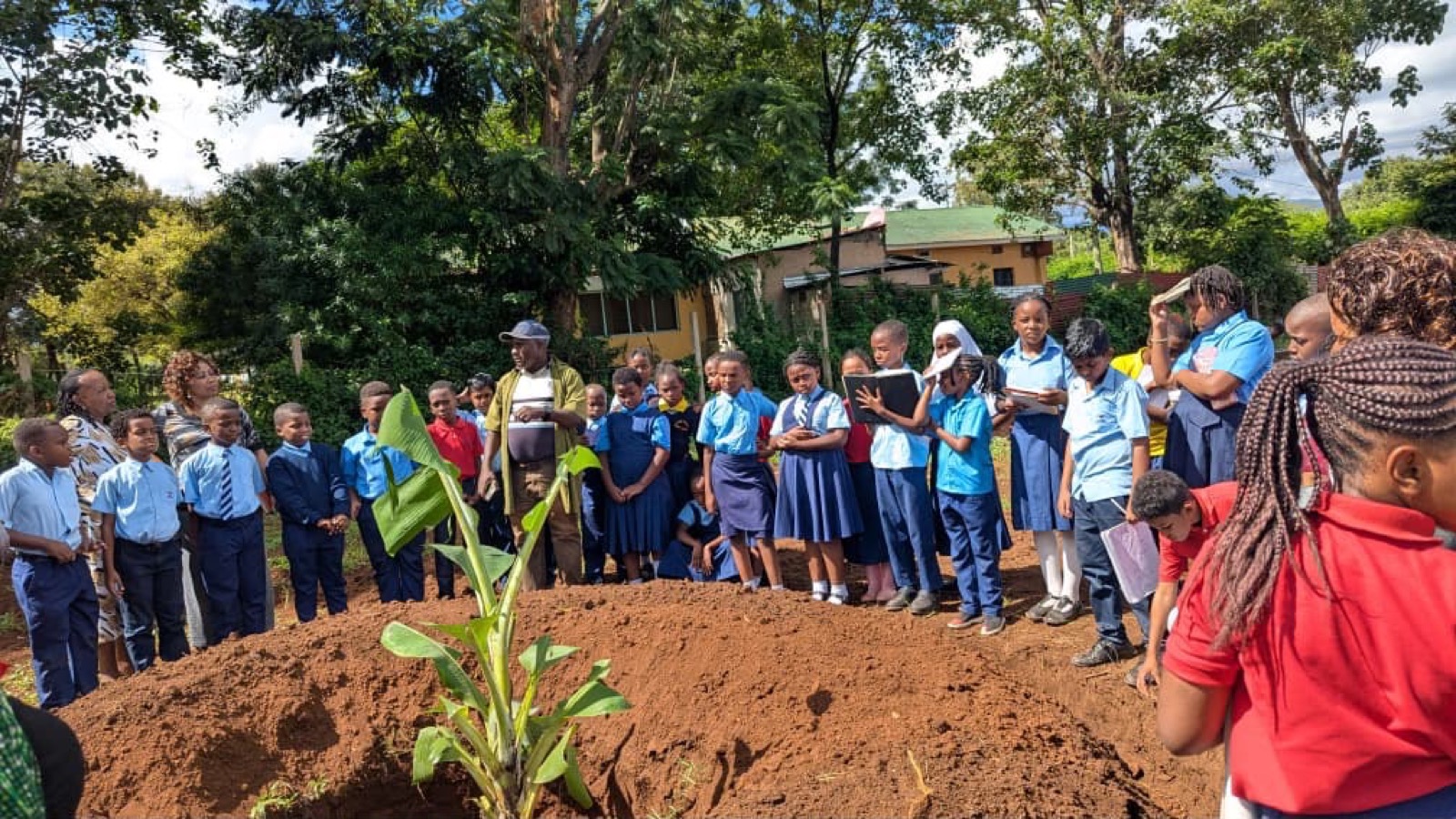 Schoolchildren and a teacher gathered around a newly planted young tree